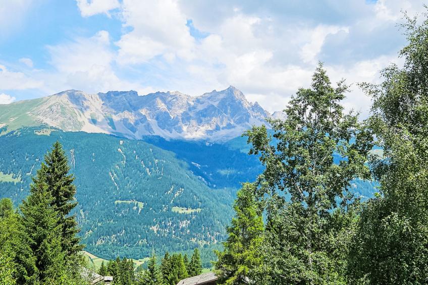 Rodas Soura 5 - foto 5