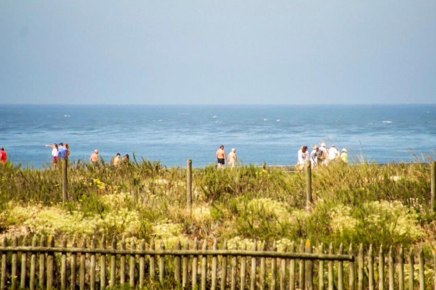 Haus der Scheinwerfer mit freier Garage - foto 20