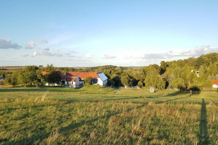 Ferienhaus Rechenberg Bienemuhle - foto 29