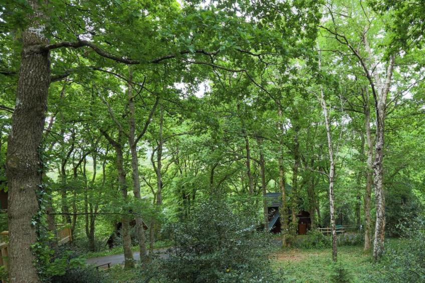 Little Dunley - Wisteria Cottage - foto 38