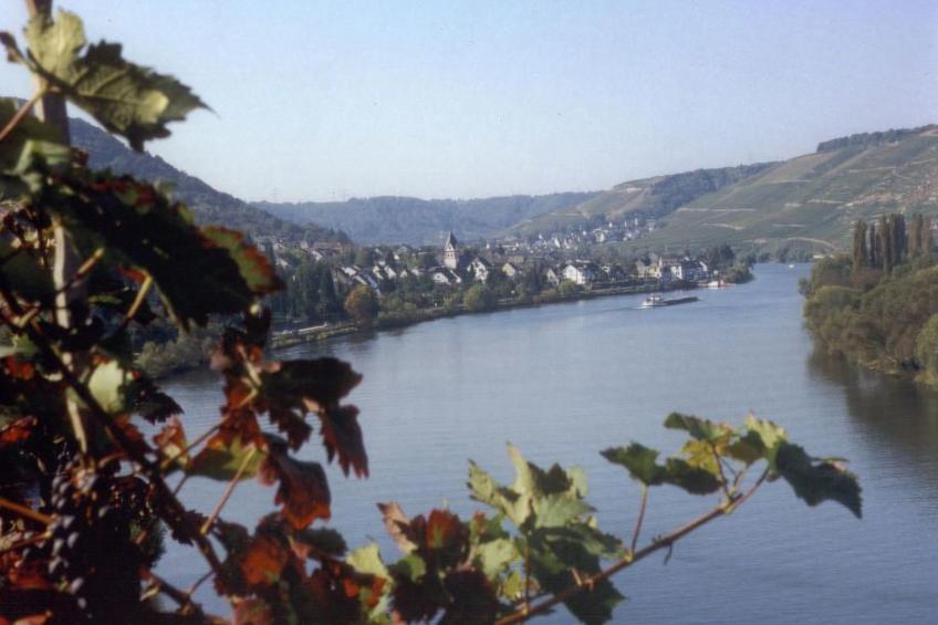 Gerä¤umige Ferienwohnung in Lay am Moselhang - foto 14