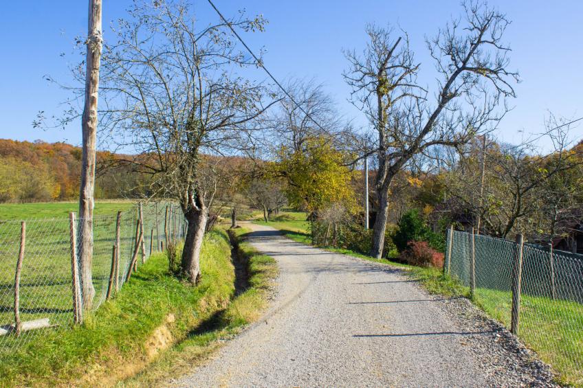 House Aurora Silvae - foto 27