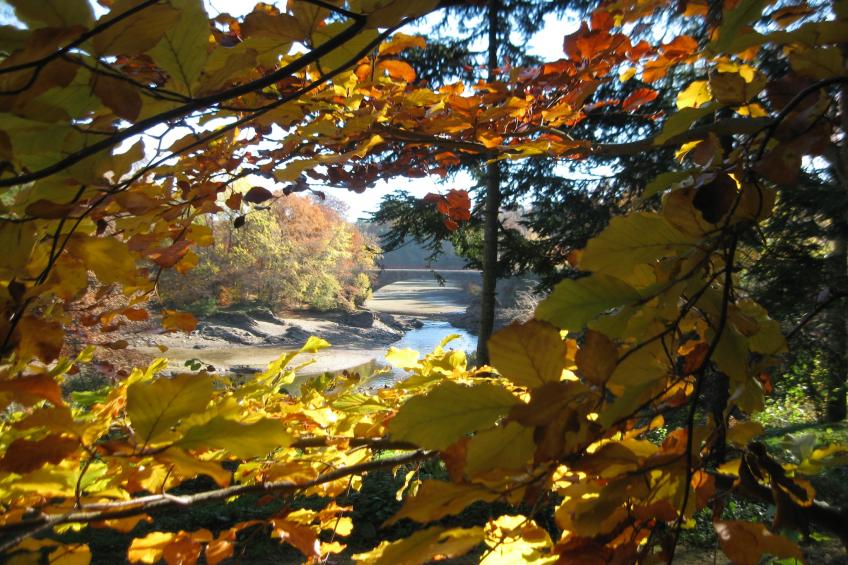 Le Jardin des Eaux - foto 33