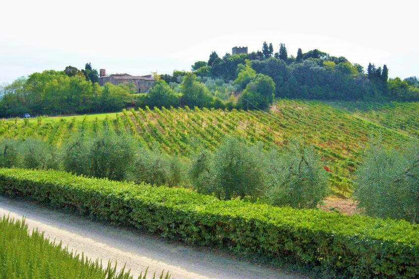 Il Poggiale-app6 - foto 39