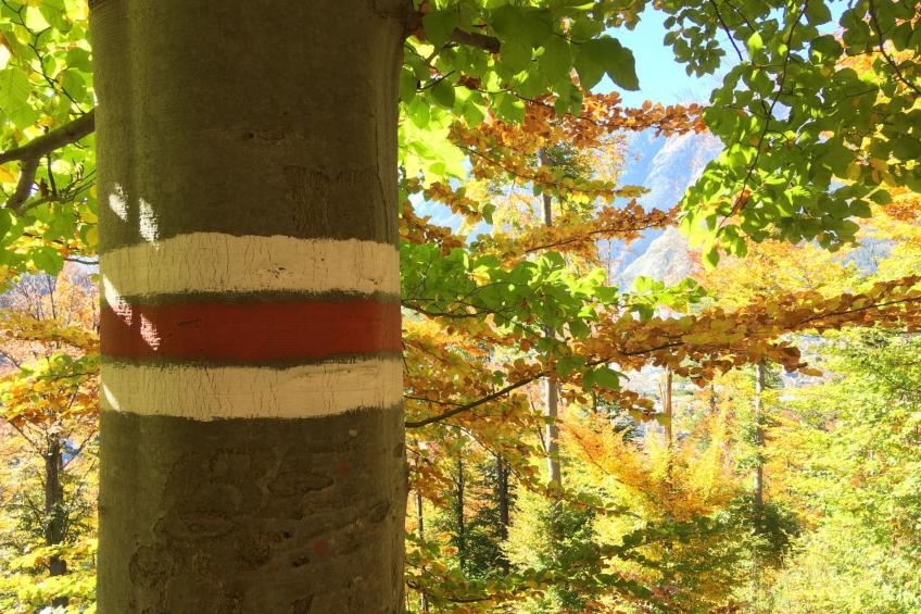 Guest House Chur - foto 16