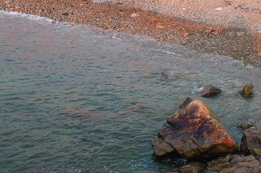 Villa Kermohic - foto 43