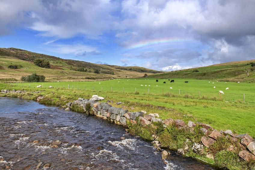 Mountain View - foto 5