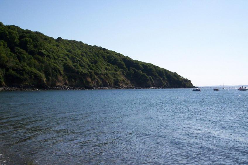 Haus auf der Halbinsel Plougastel - foto 17