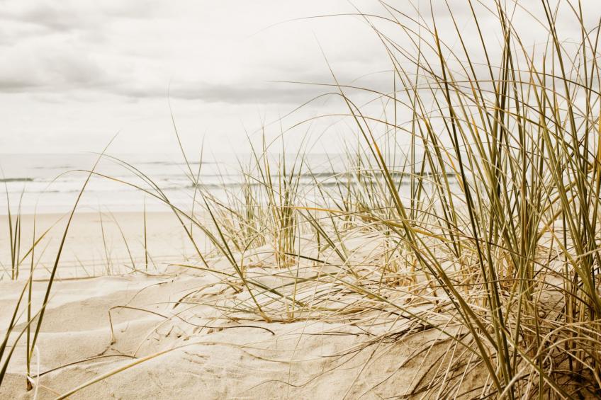 DünenHuuske "InselFreid" mit Sauna auf Spiekeroog - foto 23