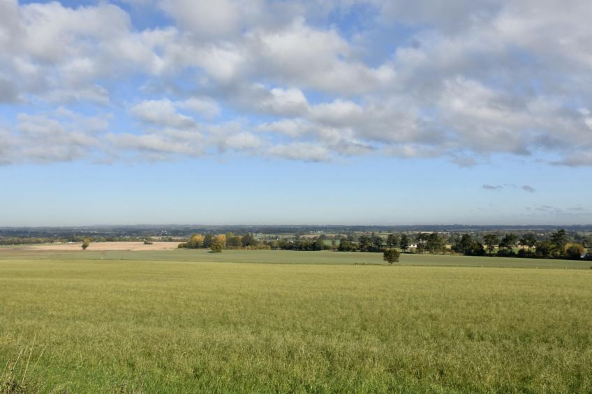 Cheese Room Cottage - foto 8