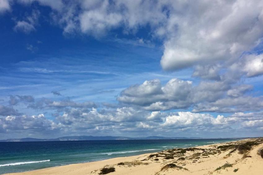 Exklusive Design-Villa in den Dünen, Pool auf dem Dach - foto 11