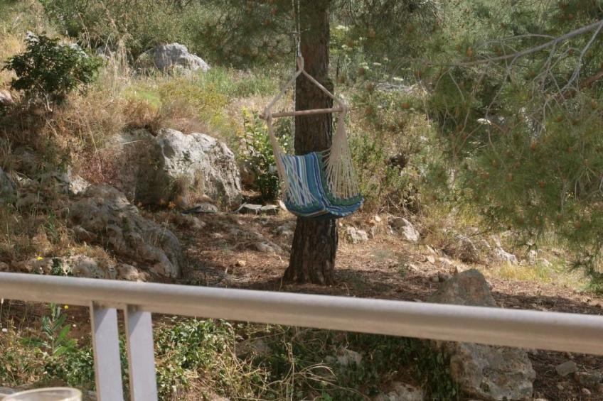 Der Garten von Zephyrus - Osten - foto 32