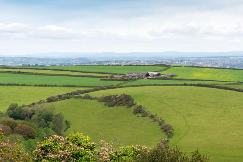 Whitsand Bay Lodge - foto 47