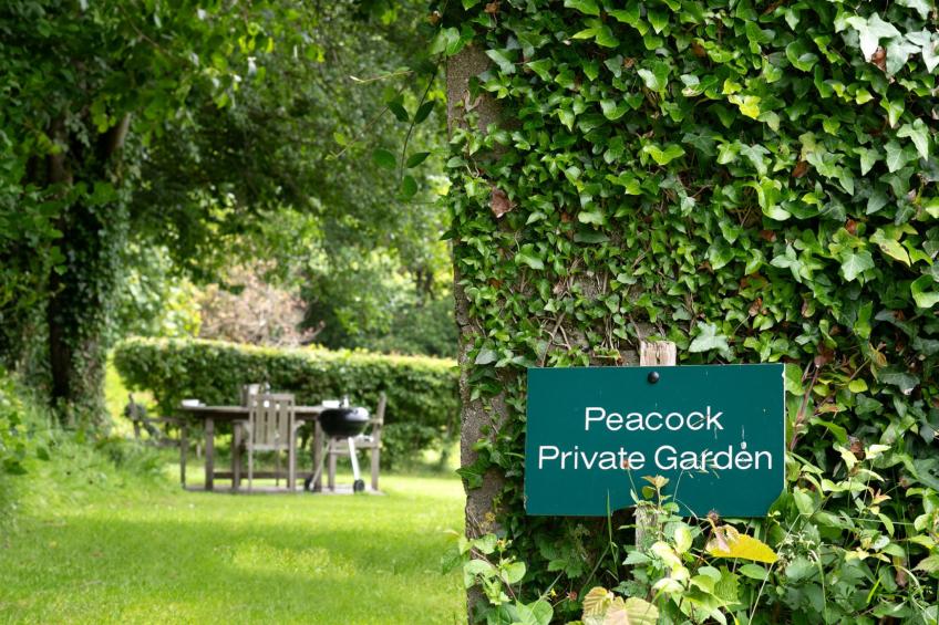 Coulscott Peacock Cottage - foto 15
