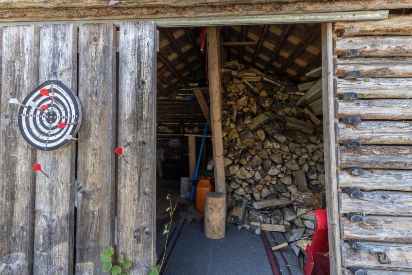 Tolvanniemi - foto 28