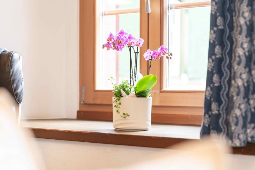 Chesa Michel Bernina - foto 21