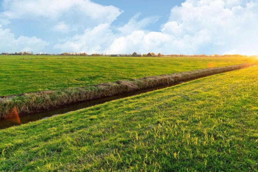 Angema Goet - foto 38