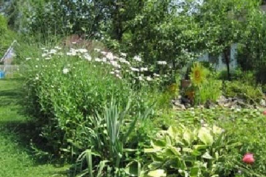 Blaues Haus - foto 19