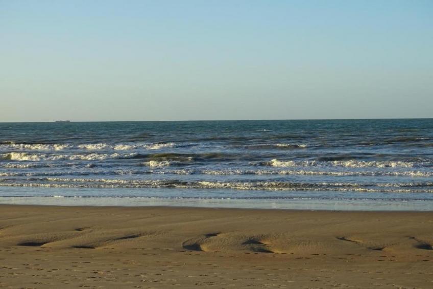 SUN BEACH I - foto 30