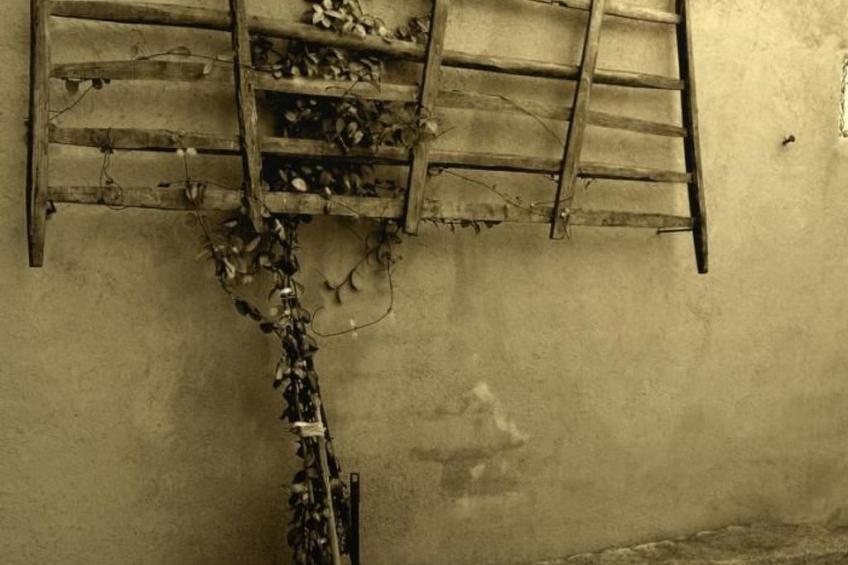 Gasthaus Callejón del Pozo I - foto 9