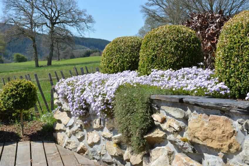 Spineux - foto 30