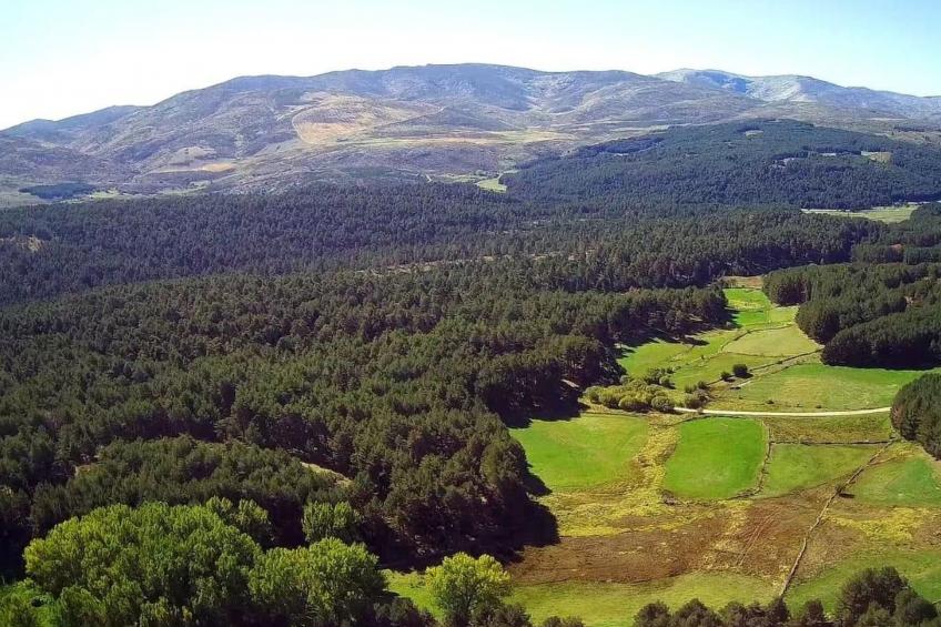 Ländliche Finca "La Vista de Gredos I" - foto 27