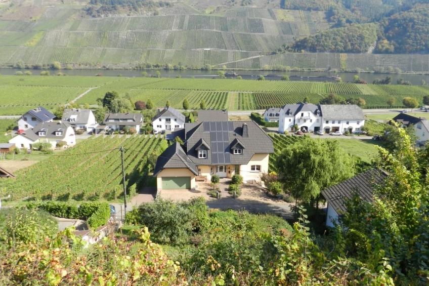 Schöne Ferienwohnung mit Terrasse und Moselblick - foto 2