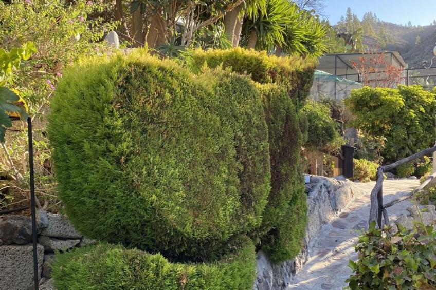 Casa Amarilla - foto 20