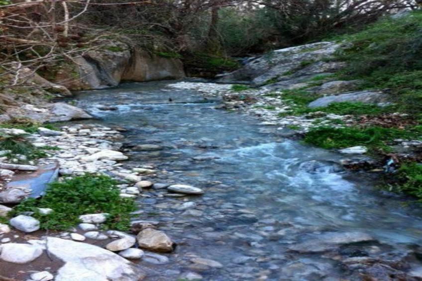 Villa Olga - foto 28