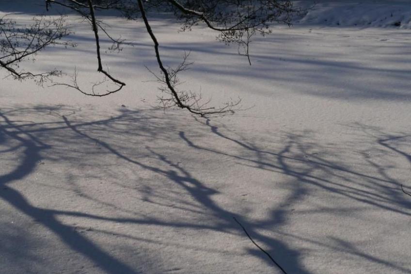 Gästehaus Siebert - foto 33