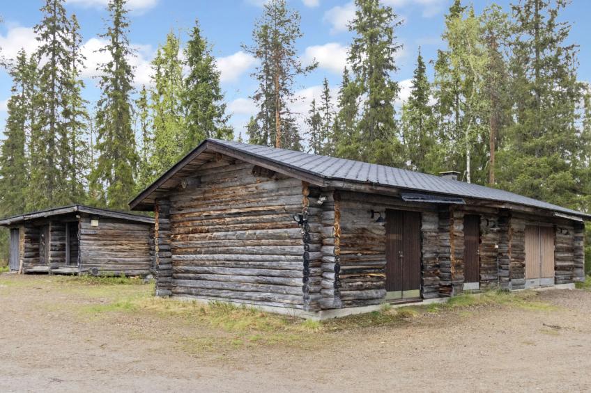 Metsä-luosto - foto 28