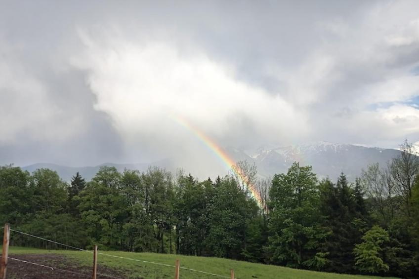 Roßweid Hütte - foto 45