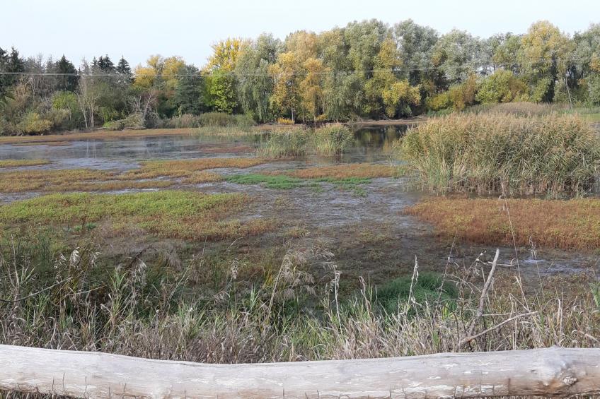 in Viereth mit Garten und Terrasse - foto 21