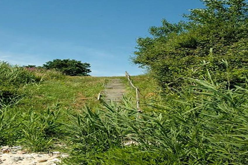 "Pirjo" - 50m from the sea in SE Jutland - foto 18