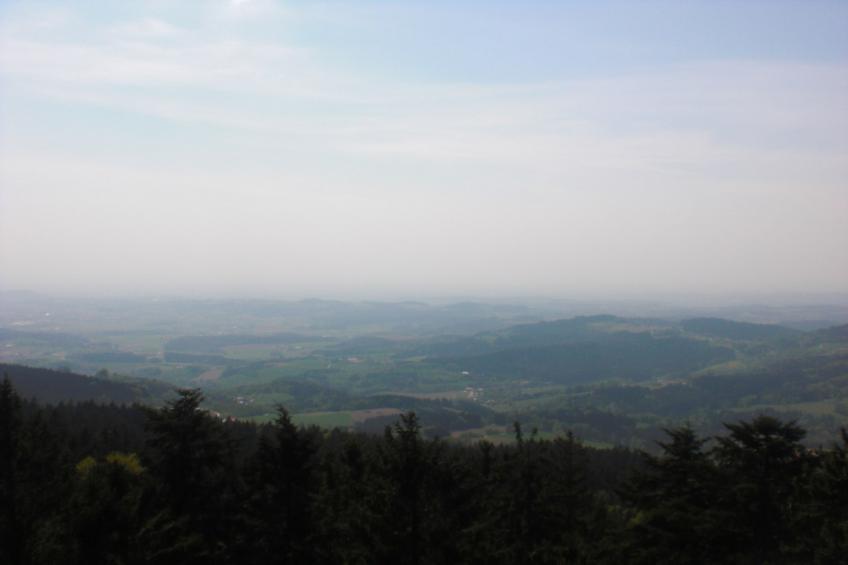 Kreut - foto 29