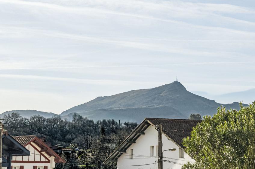 Barasteguia - foto 16