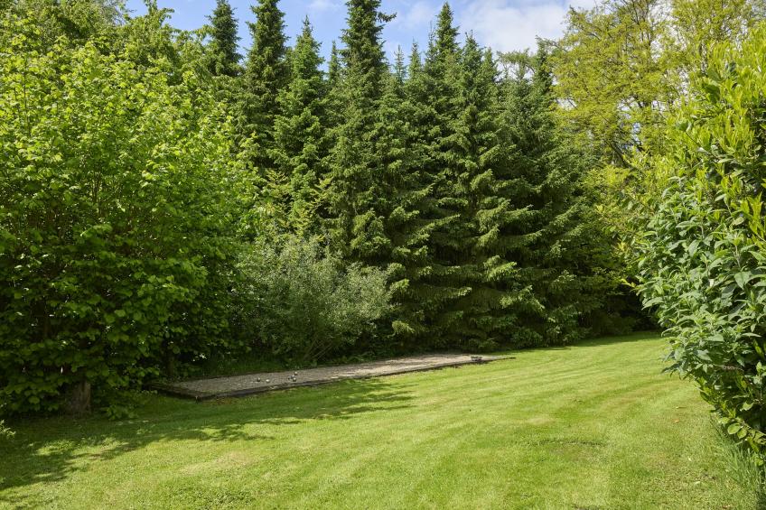 Wellnesshuisje Engelse Tuin - foto 62