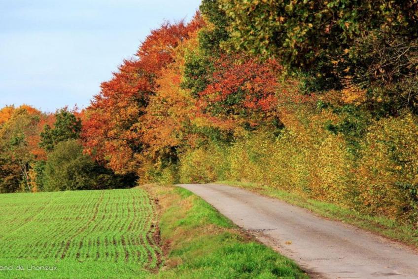 Au Bord de Lesse 6 - foto 36