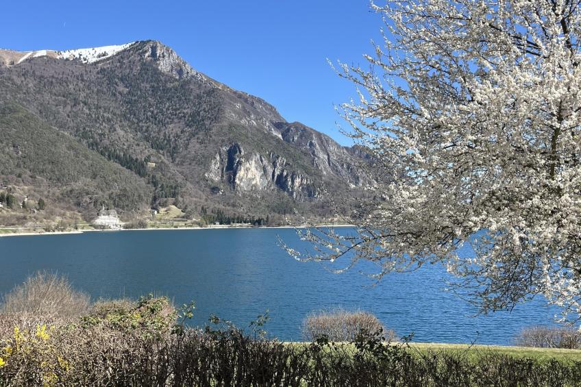 Ca' Serena Trilo Greta - foto 28