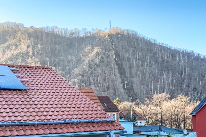 Hotelpark-Bodetal - foto 22