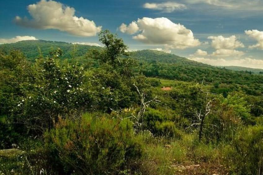 Le Corniole mit Pool, Jacuzzi und Grill - foto 43