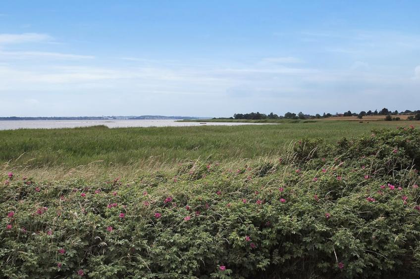 "Jeip" - 400m to the inlet in Sealand - foto 26
