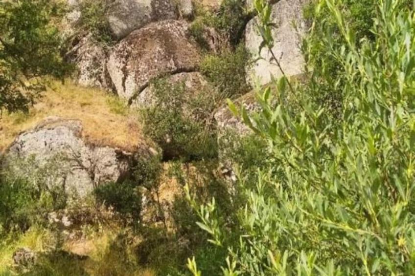 Gîte de France Lou vachou 4 épis - foto 27