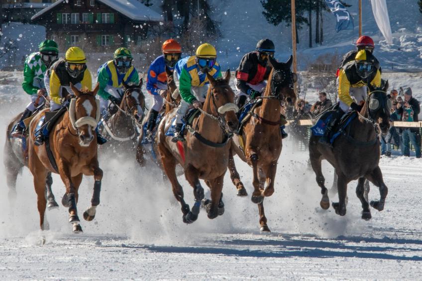 Chalet Haus am See - foto 5