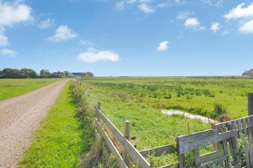 "Leocadia" - 150m to the inlet in The Liim Fiord - foto 4
