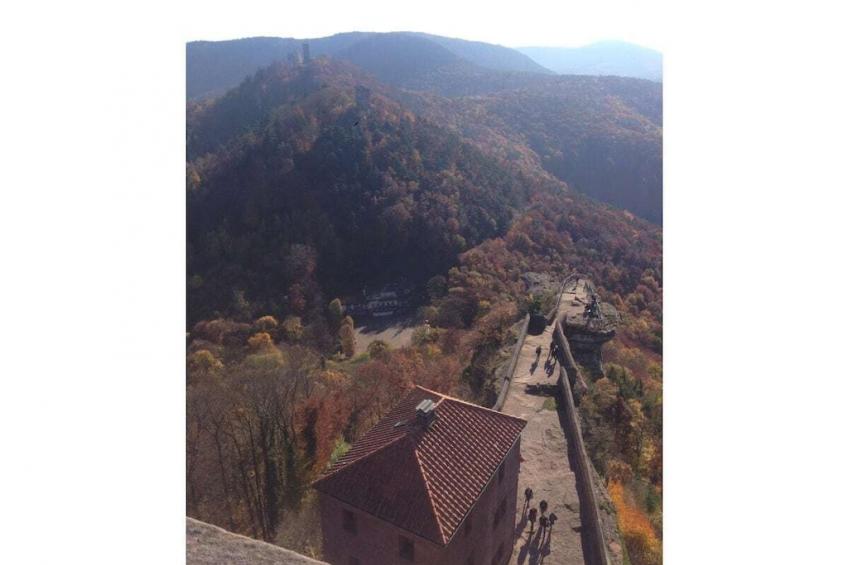 226630 - foto 20
