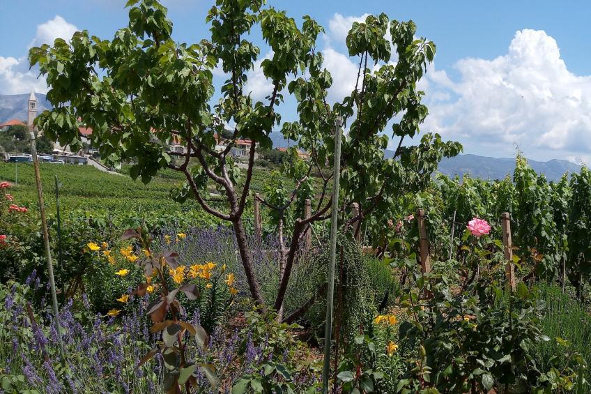 Holiday Home Kata - Two-Bedroom Holiday Home with Balcony - foto 10