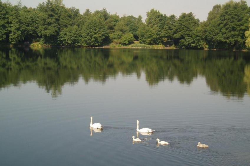 Haus Aschenputtel - foto 13