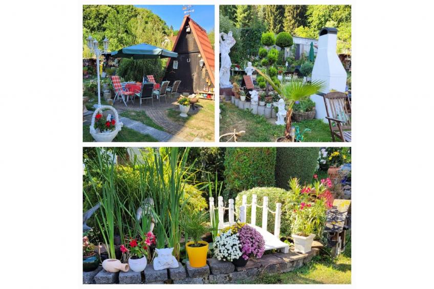 Blankenburg - foto 25