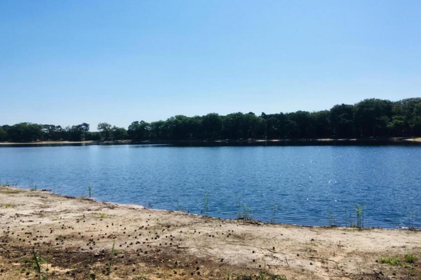 Maaspark Boschmolenplas - foto 34